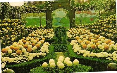 Vintage Postcard- FALL FLOWER SHOW, PHIPPS CONSERVATORY, PITTSBURGH, PA. 1960s