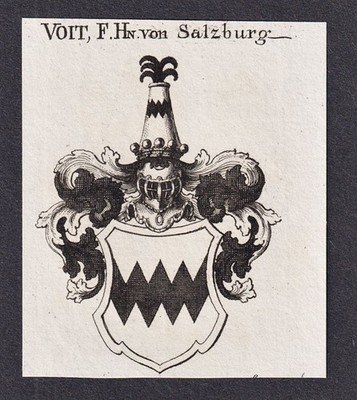 Voit Salzburg Wappen coat of arms Adel Kupferstich Heraldik  1820