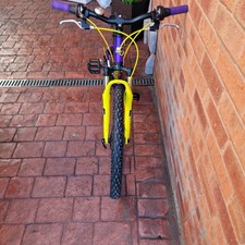 Carera Luna Ladies Bike 24inch