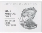 2025 W American Silver Eagle Choice Proof Bullion $1 Coin OGP COA