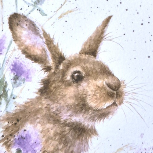 GREETING CARD 150mm Bunny RABBIT British MEADOW Country Animal WRENDALE Blank - Picture 2 of 9
