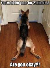 German Shepherd refrigerator magnet 2 1/2 x 3  1/2