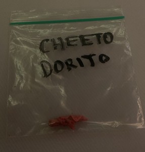 Cheeto Dorito 