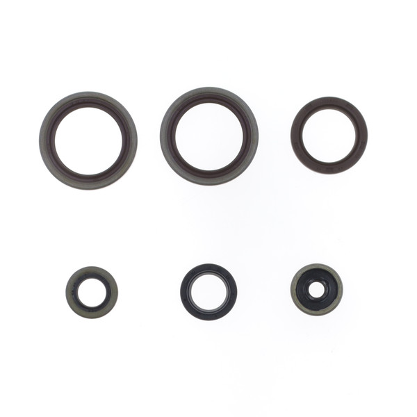Parolio Motor Beta RR 125 18-22 FüR Beta RR 125 Race 2T 2025-2026 2T-image