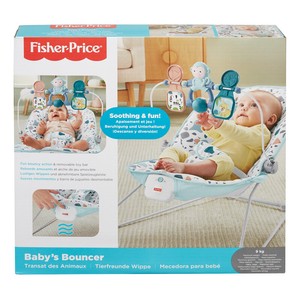 fisher price terrazzo bouncer