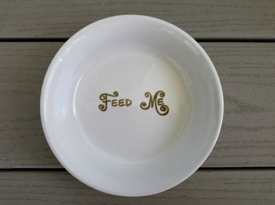 rough haired sausage dog