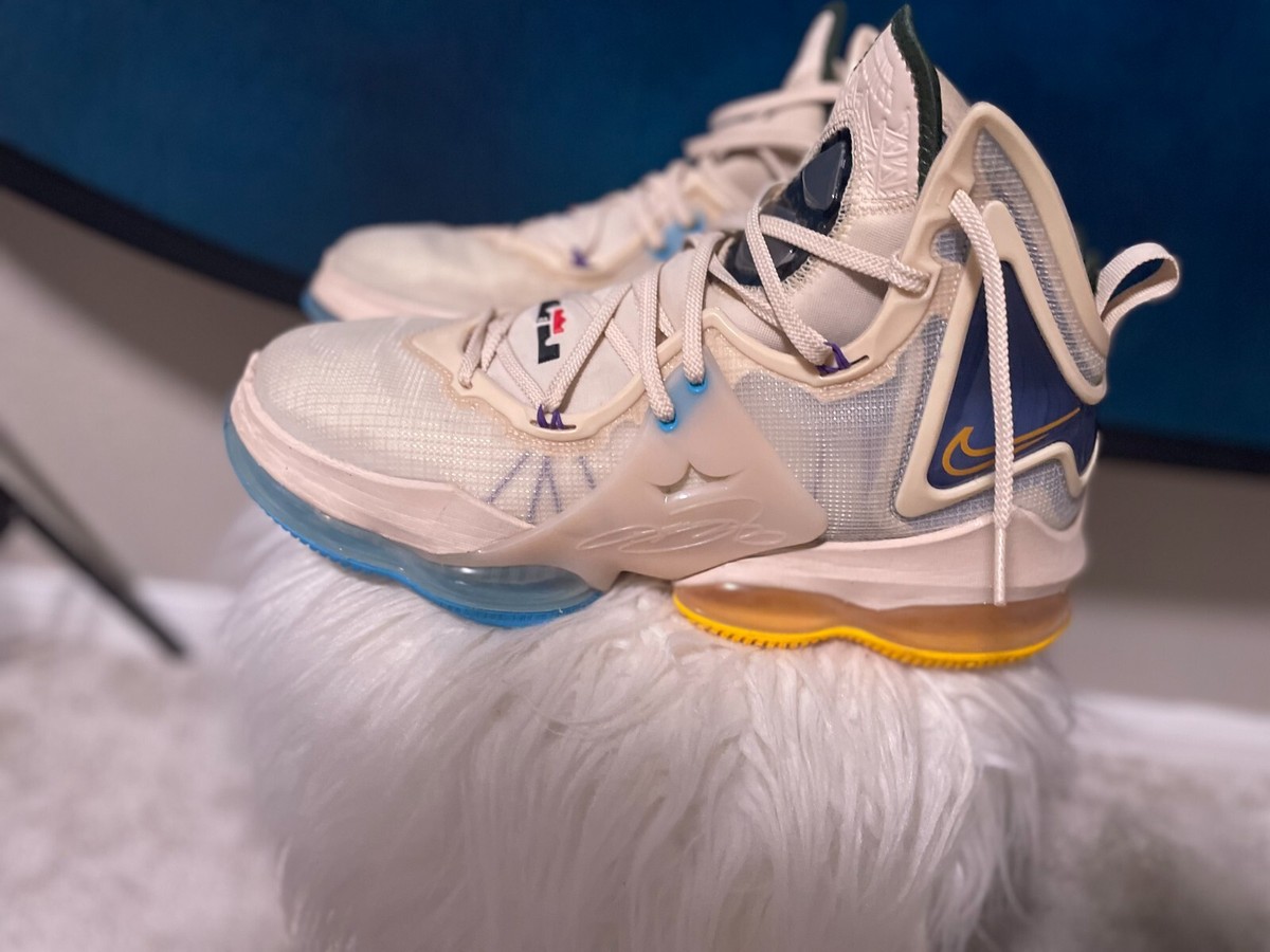 how much do lebron james sneakers cost