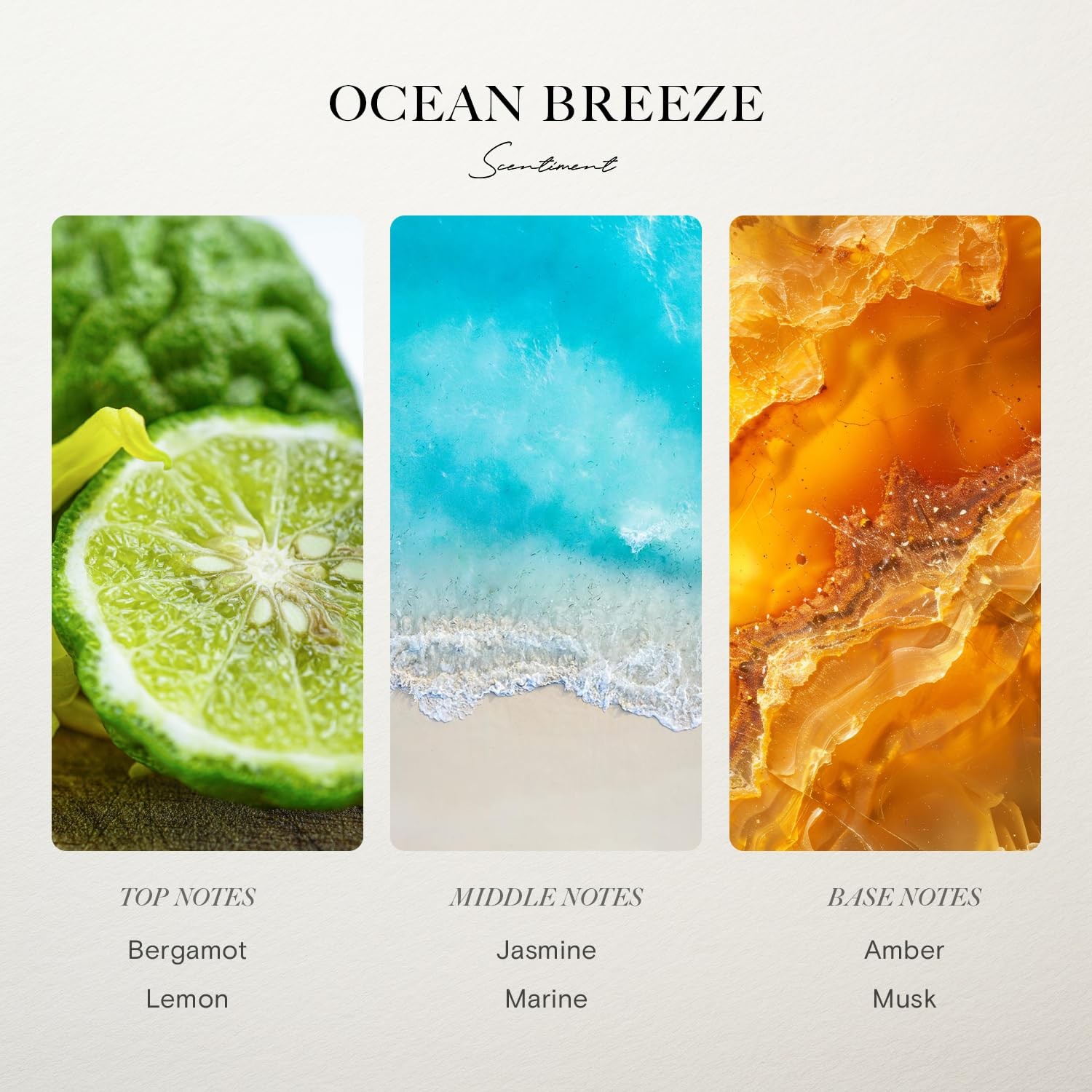 Ocean Breeze Diffuser Oil 120ml - Luxury Scent with Bergamot & Jasmine