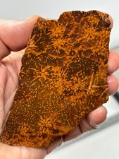 Spider Jasper Slab aka Starburst slab Lapidary Cabbing Combo Ship Avail