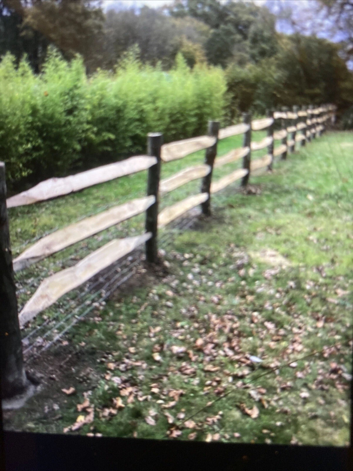 Picture 6 of 15