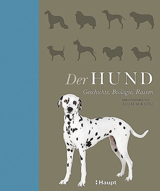Thumbnail - Der Hund Ádám Miklósi