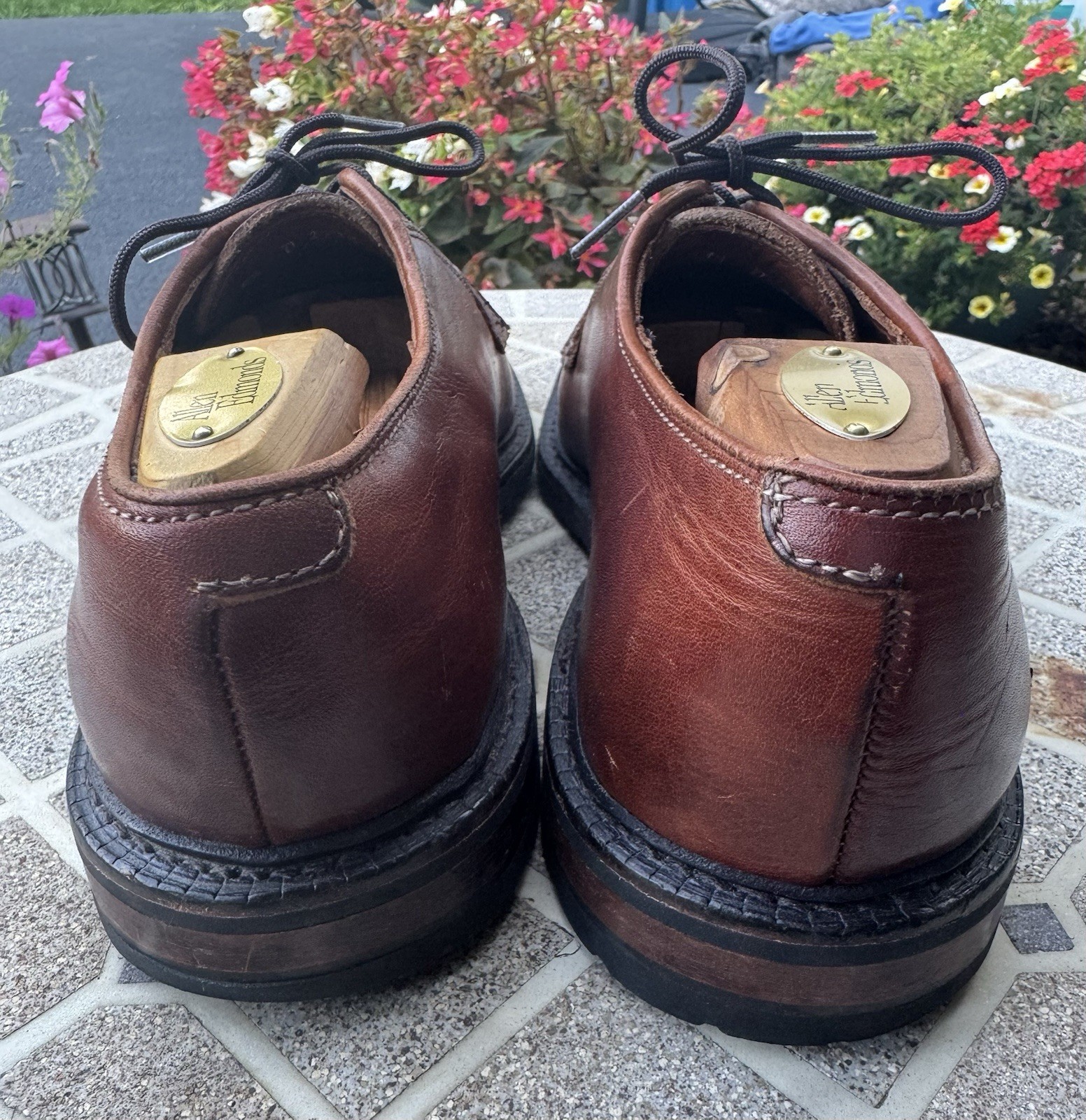 SAOLA ALLEN EDMONDS Black Hills Brown Horween CXL Derby punta liscia in pelle US 8 5D