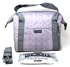 Titan By Arctic Zone Insulated Carry All Cold Warm Travel Outdoor Bag Gray