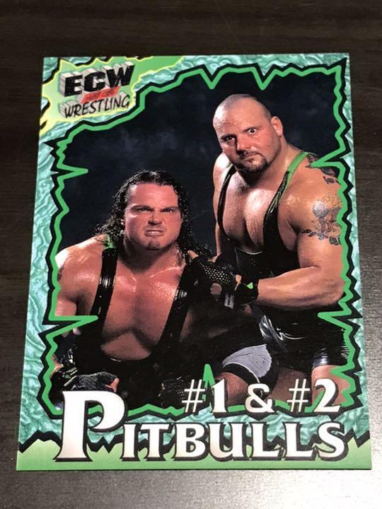 Ecw Pro Wrestling 96 Card Pit Bulls 1 2 Novelty | eBay