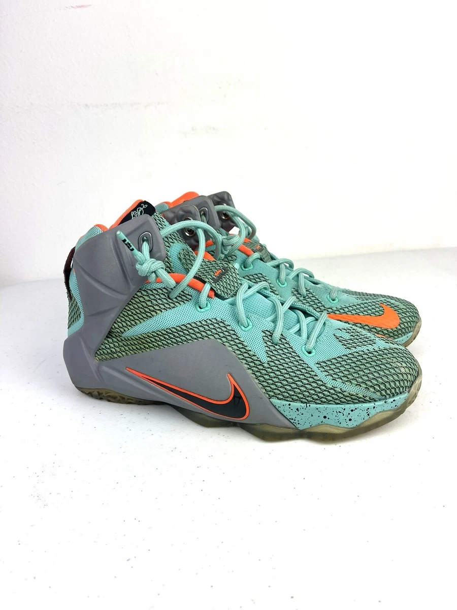 Lebron 12 sales miami dolphins