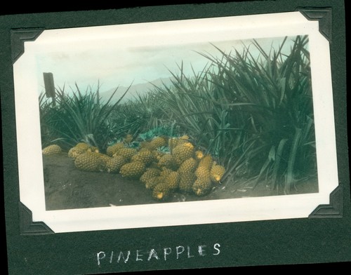 1930's hand colored Hawaii 2 Photos Pineapples