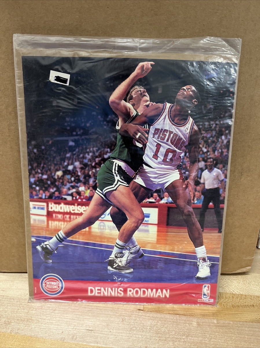 Dennis Rodman ロッドマン 写真集　ジョーダン　ピッペン　レア デニス・ロッドマンと彼のキャリアで最もとんでもない瞬間