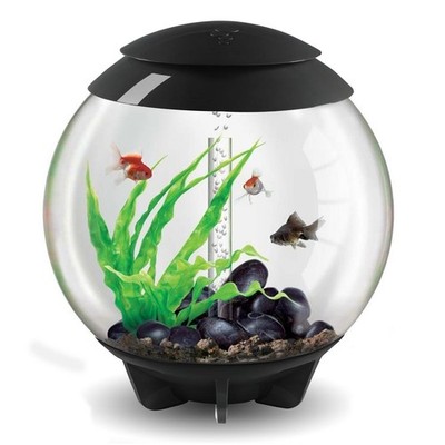 BIORB HALO AQUARIUM 60L GRAU FISCHBECKEN ALL IN ONE SETUP FILTER LED BELEUCHTUNG