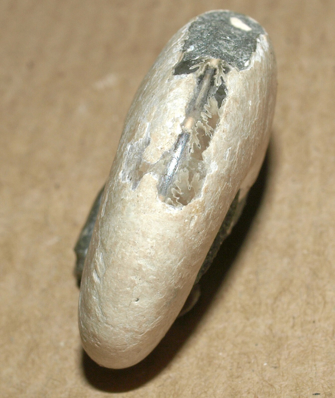 Picture 9 of 17