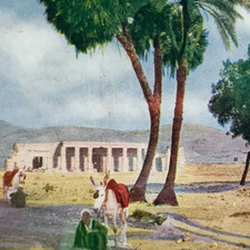 Karnak Temple Egyptian Donkey Stereoview c1905 Egypt Complex Palm Trees C1305
