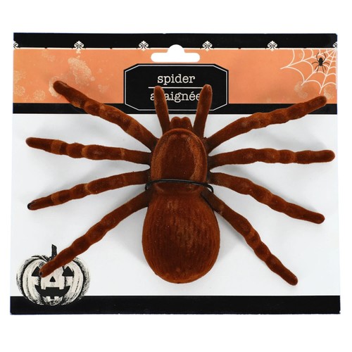 Fleckspinnen, 1-kt. & 2-kt. Packungen wählen Sie Farbe schwarz oder braun und Größe - Bild 4 von 7