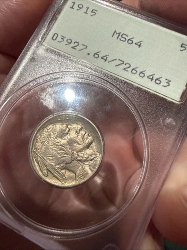 1915 MS64 5C - PCGS Certified Old Rattler Holder Buffalo Nickel