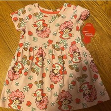 Strawberry Shortcake Girls Casual Dress, Size 2T