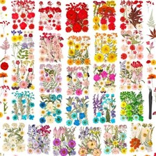 470 Pressed Dried Flowers for Crafts, Bulk Natural Leaves for Resin Art