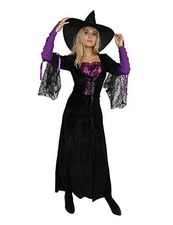 Women's Wicked Witch Costumes Halloween Cosplay Dress X-Large Wizard
