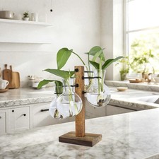 Propagation Station with Acacia Wood Stand  4 Glass Vases for Home D cor