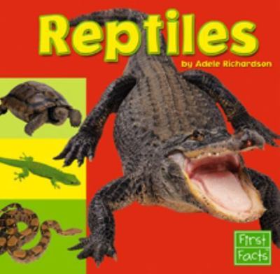 Reptiles  Exploring the Animal Kingdom 