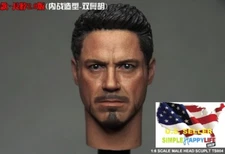 1/6 Iron Man Tony Stark Head Sculpt For 12" Hot Toys Male Figure Coomodel ❶USA❶