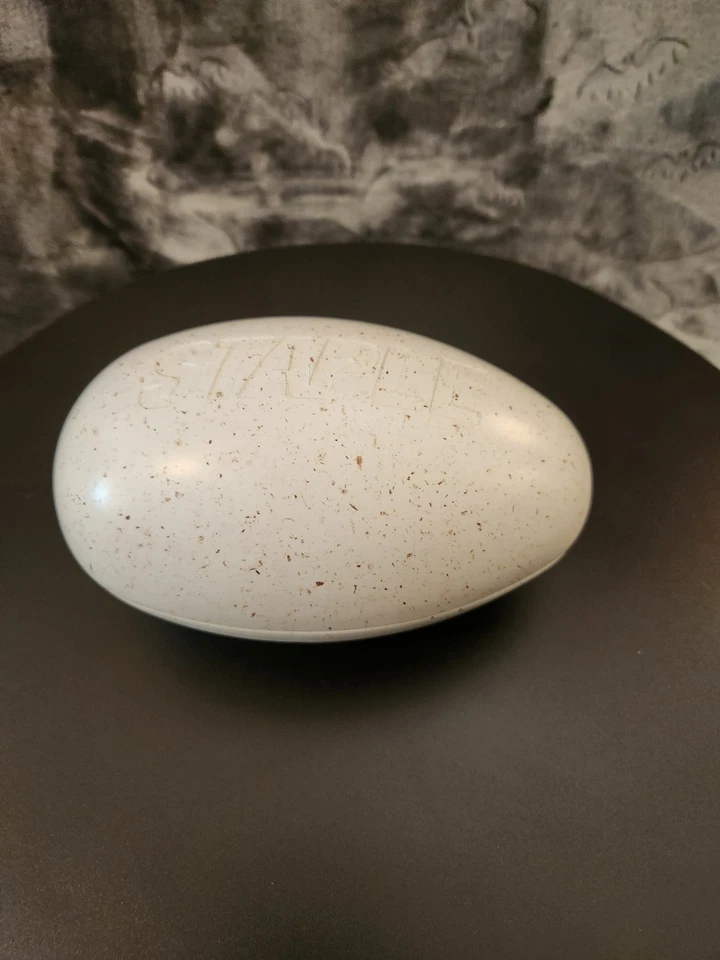 Reloj STAPLE x Fossil Edición Limitada Automático Piedra Arenisca Silicona Foto 3 de 3