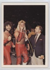 1988 Wonderama NWA Jimmy Garvin Gorgeous George Michael Hayes #340 0w6