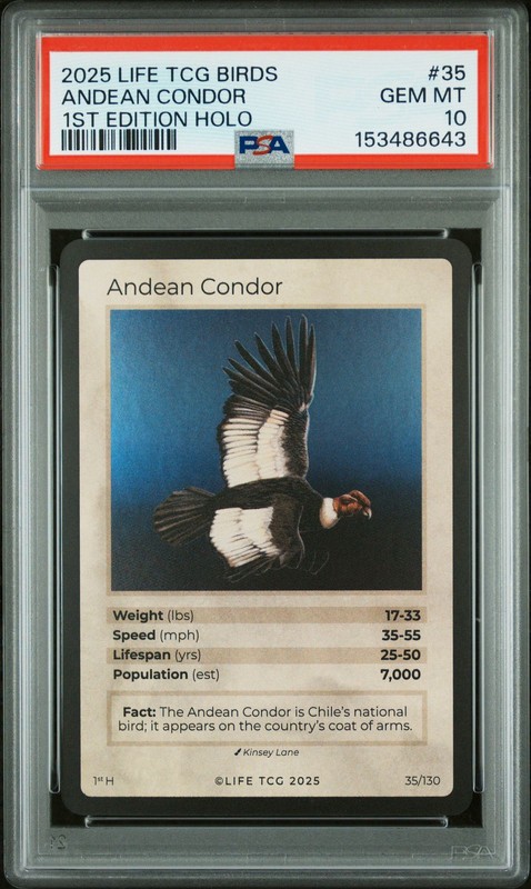 ANDEAN CONDOR 2025 LIFE TCG BIRDS 1ST EDITION HOLO #35 /7000 PSA 10 POP 1
