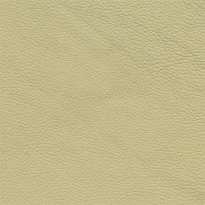 Leder Reparatur Set. Lederfarbe BMW Dakota Creambeige Leather 125542256135