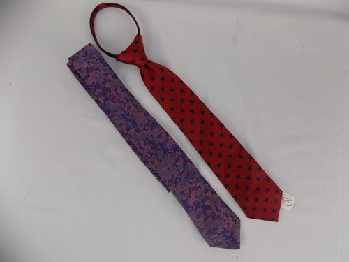 Lot of 2 Stringbeans Talbots Kids Silk Necktie Tie Red Blue Stars Purple Floral - Picture 2 of 4