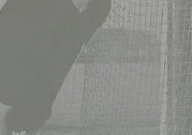 Printing Plate Magenta