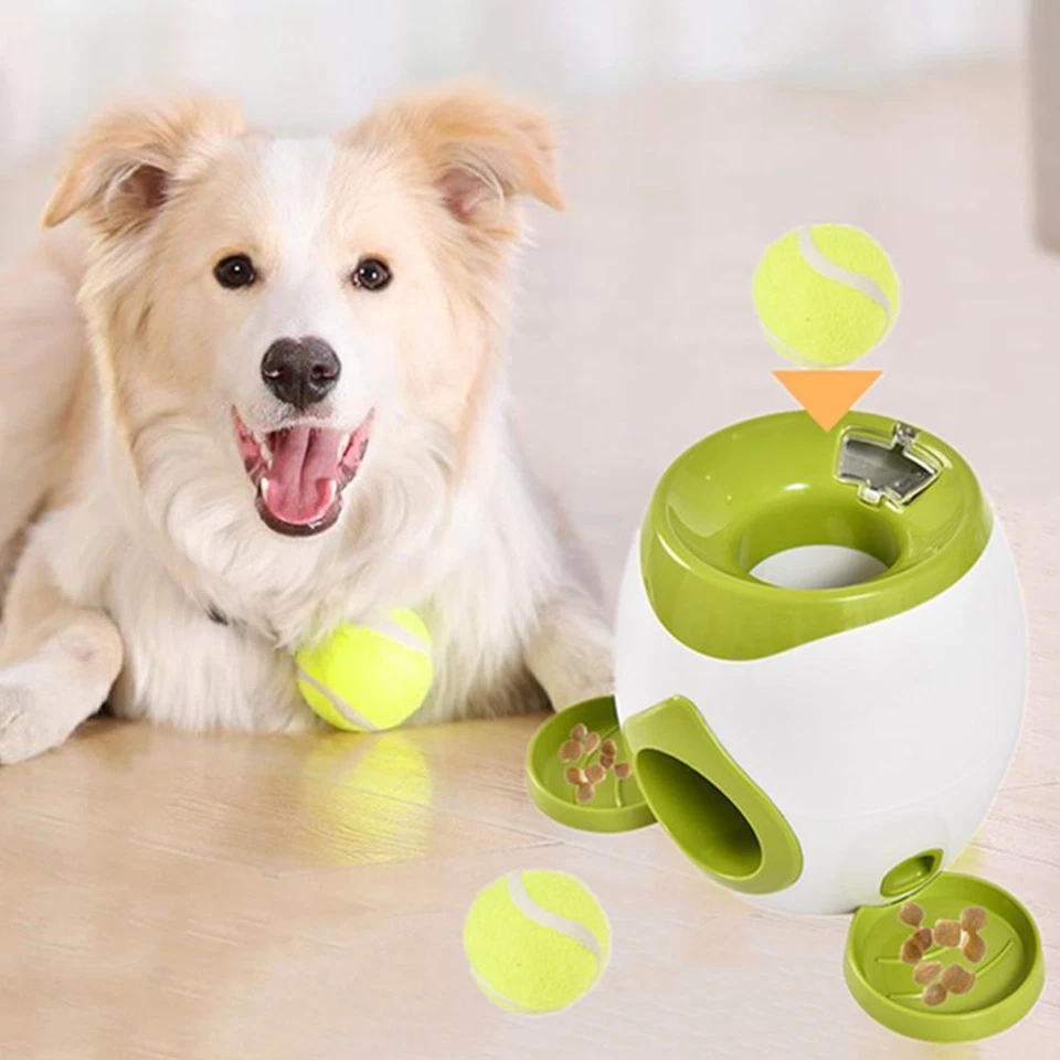 Automatischer Ballwerfer für Hunde 2 Tennisbällen Wurfmaschine Ballwurfmaschine - Bild 4 von 4