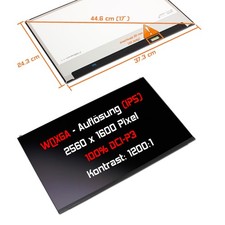 LED Display 17,0 2560x1600 matt für LG Displ...
