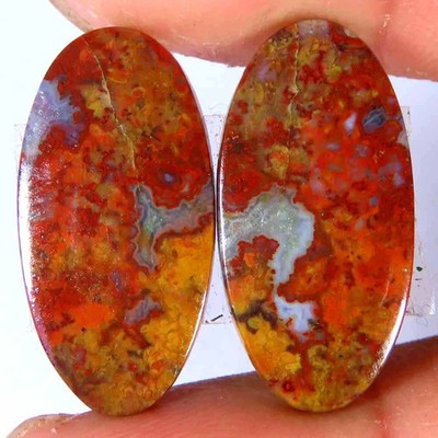 15.30Cts. 100%Natural Red Palm Root Agate Oval Pair Cab 11x22x3mm Top Gemstone