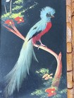 2 Vintage Feathercraft Bird Feather Mexico Folk Art Carved Wood Frames  — photo 5