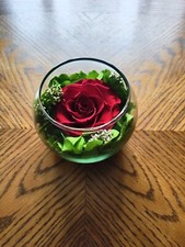 Preserved Rose in Glass Bowl   Romantic Gift, Home Decor, Centerpiece - Couples