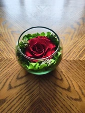 Preserved Rose in Glass Bowl – Romantic Gift, Home Decor, Centerpiece - Couples