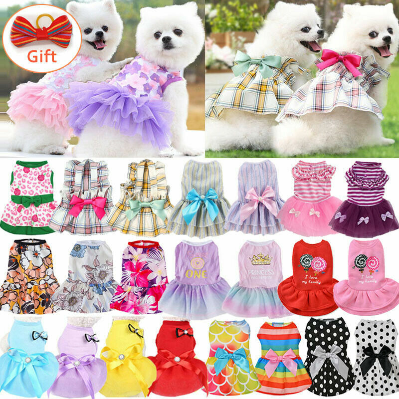 Why Does My Cat Leave Stuffed Toys in My Clothes? Surprising Reasons!