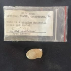 Authentic Civil War Bullet Gettysburg National Tower Fred Stevens Souvenir Relic