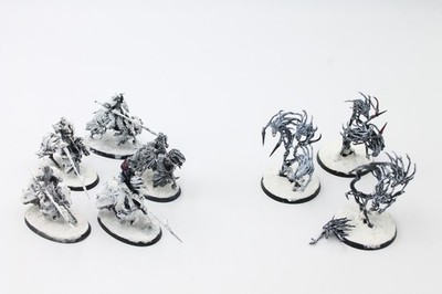 Used Warhammer AOS NightHaunt: Black Knights (5), Spirit Hosts (3)  (U-B6S2 4187