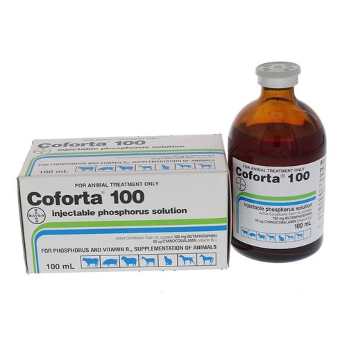 Bayer Coforta 100 Phosphorus Treatment Horse Supplement 100ml eBay