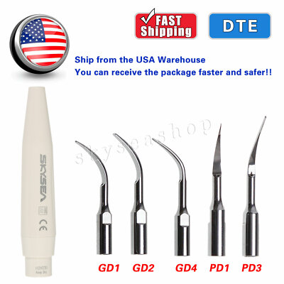 DTE SATELEC Style Dental Ultrasonic Scaler Handpiece / Scaling Perio 5*Tips USPS