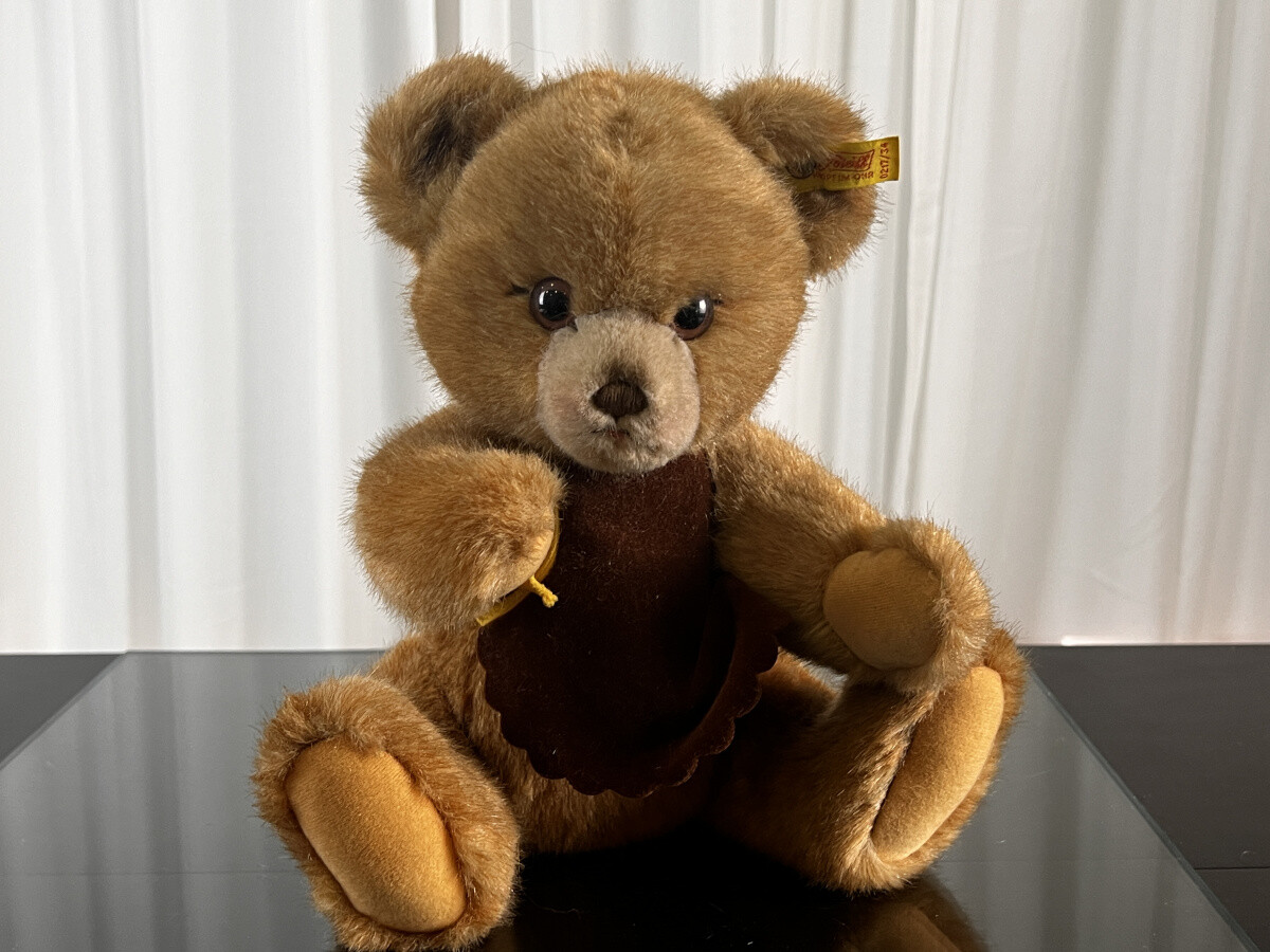 太*陽様 Girls Don't Cry × Steiff Teddy Bear il_1080xN.5949628933_jhph.jpg